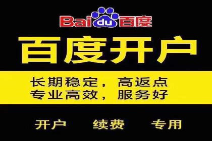 百度推广成本分析：成功案例揭秘